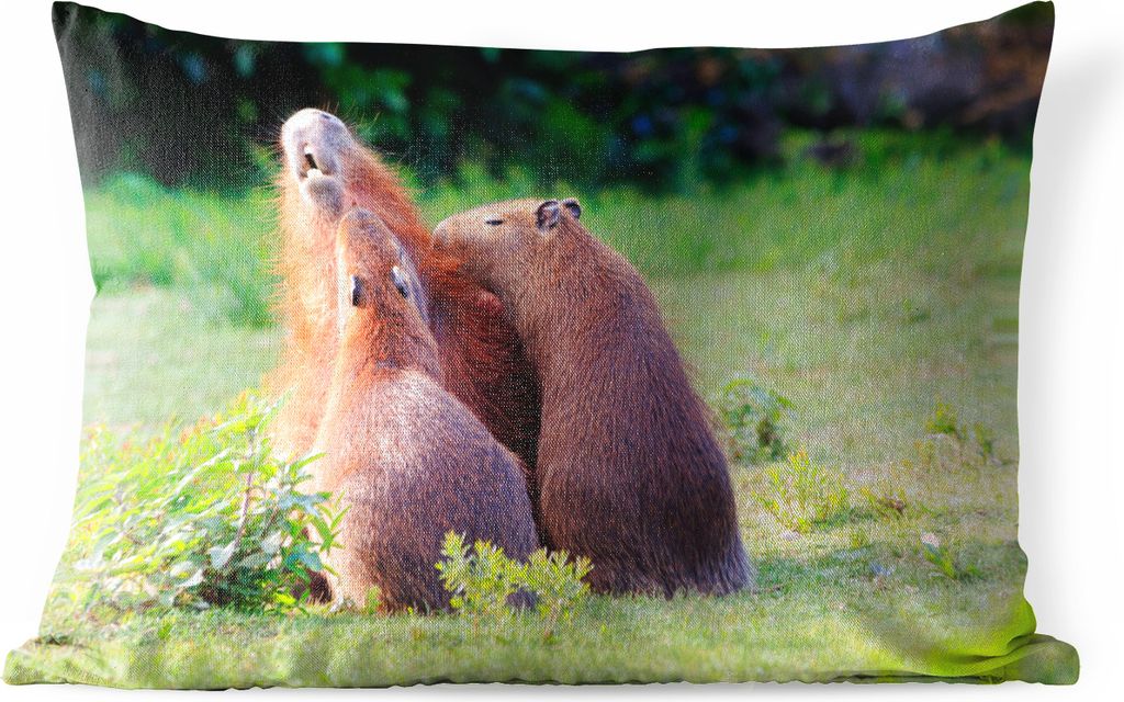 MuchoWow Outdoor Kissen - Eine Familie von Wasserschweinen in einer Grünanlage - 50x30 cm - Wetterfest - Lounge Kissen - Sofa kissen - Wohnzimme...