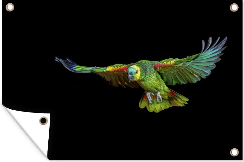 MuchoWow 60x40 cm Outdoor-Poster Gartendeko Sichtschutz Garten Poster für den Garten Papagei - Vogel - Federn