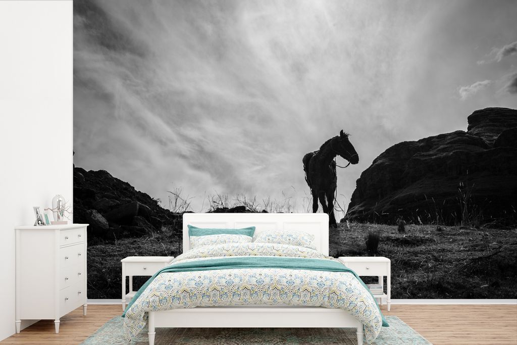 MuchoWow Fototapete für Wohnzimmer oder Schlafzimmer Wandtapete Vinyl Motivtapete Pferd - Wolken - Wiese - 600x400 cm - Vinyltapeten