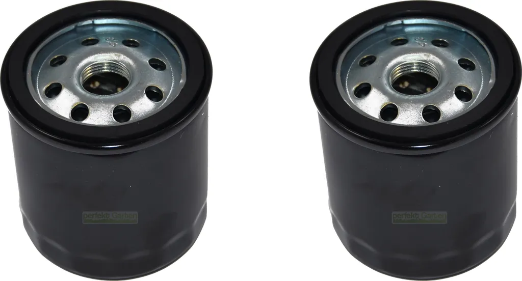 Offerta 2 Filtri Olio 491056 807894 Briggs John Deere AM101207 - Risparmia!