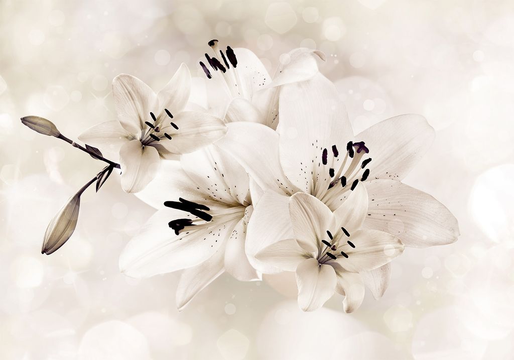 Vlies Fototapete Blumen Lilien 400x280 cmTapeten Wandtapete Produktbild 