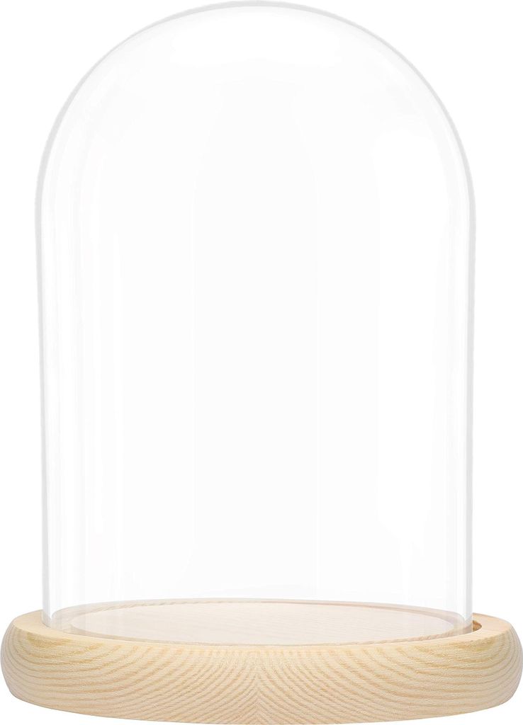 BELLE VOUS Glasglocke mit Holzboden - 20cm hohe Glaskuppel mit Holzboden - Glasglocke Groß Deko - transparente Glas Glocke - Glaskuppel Deko -