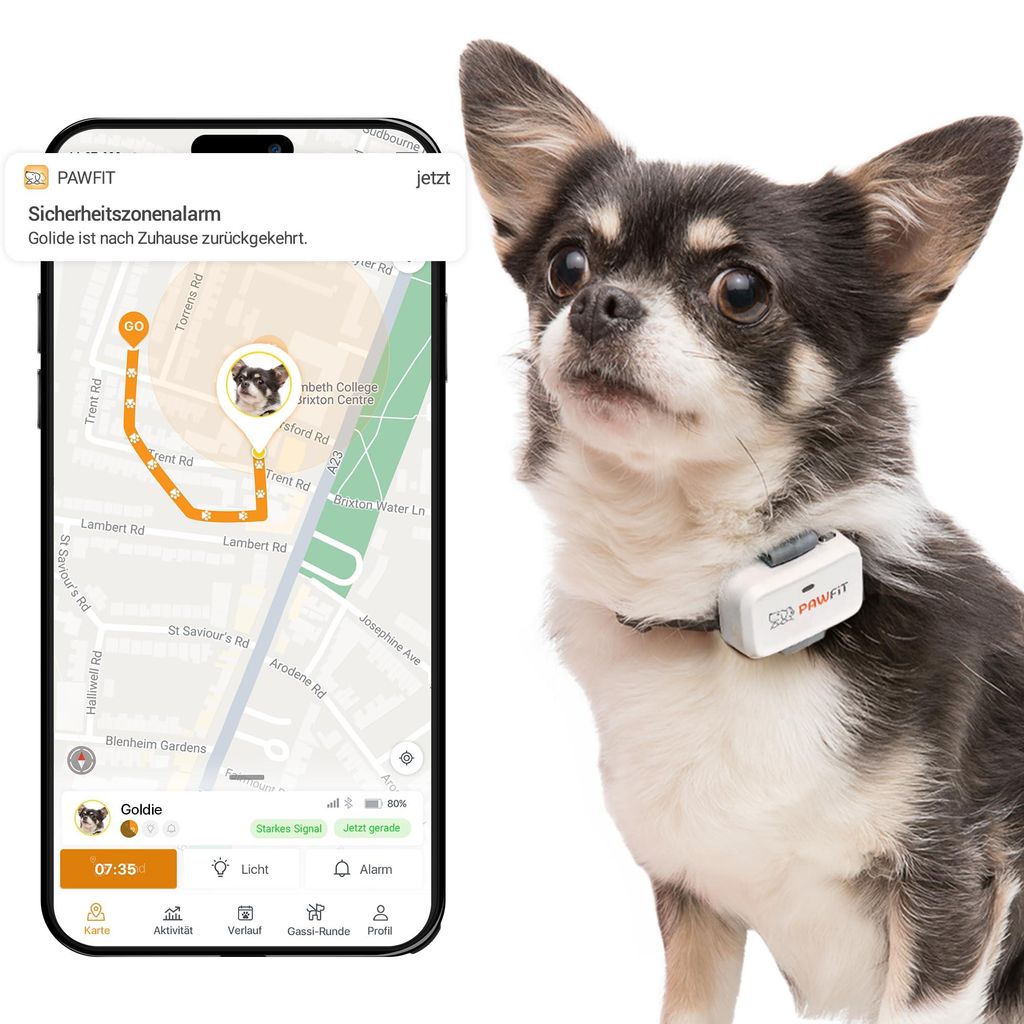 Pawfit Lite GPS-Tracker mit 4G für kleine Hunde | Tracking in Echtzeit | Aktivitätsüberwachung |Standortverlauf | Unbegrenzte Reichweite | Onyxs...