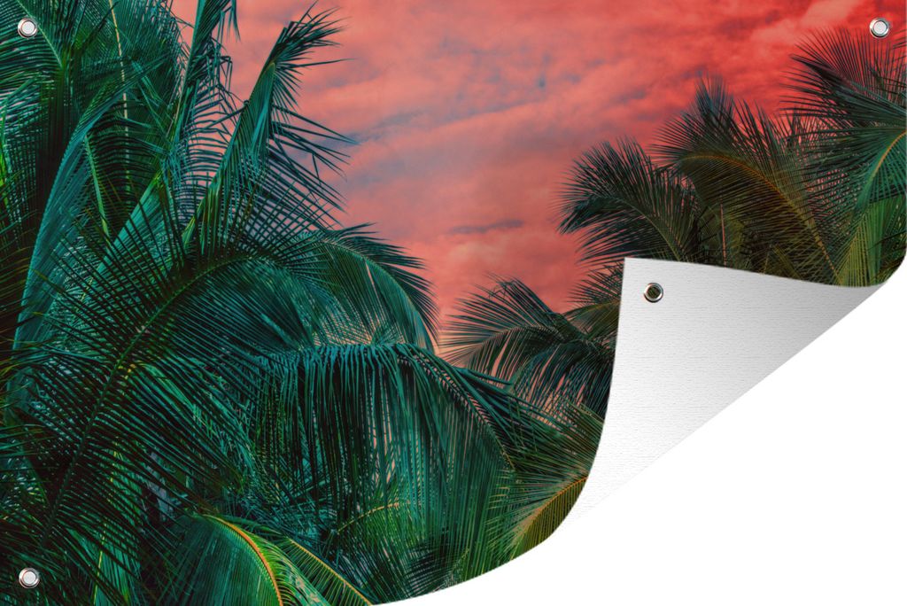 MuchoWow 60x40 cm Outdoor-Poster Gartendeko Sichtschutz Garten Poster für den Garten Palmen mit rosa Himmel, Sri Lanka