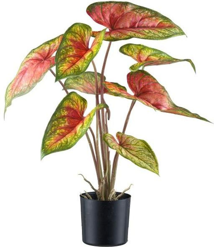 artplants.de Künstliche Caladium STAHER, Wurzeln, rot-grün, 55cm - Kunst Caladiumpflanze