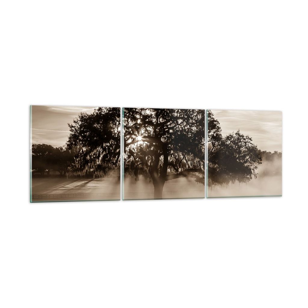 Bilder auf glas - Baum Feld Natur - 90x30cm - Glasbilder - Wandbilder - Bilder - Kunstdruck - zum Aufhängen bereit - Wanddekoration aus Glas - Gla...