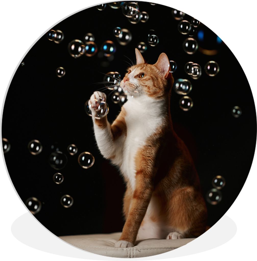 MuchoWow Rundes Wandbild - Runde Bilder Rote Katze mit Blasen Ø 30 cm Kreis Wanddekoration Kunststoff - Wandkreis - Wandschmuck - Schlafzimmer -...