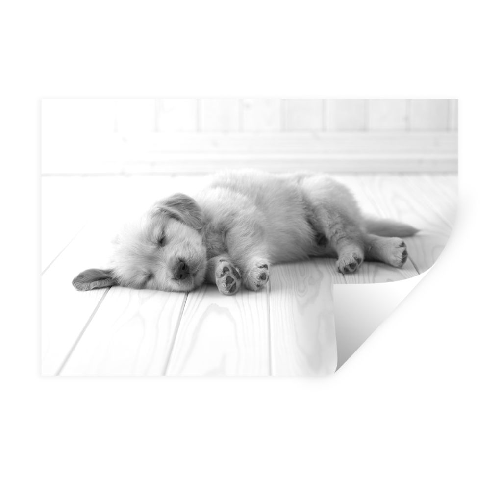 MuchoWow Wandtattoo Wandsticker Wandaufkleber Schlafender Welpe auf weißem Boden - schwarz und weiß 120x80 cm Selbstklebend und Repositionierba...
