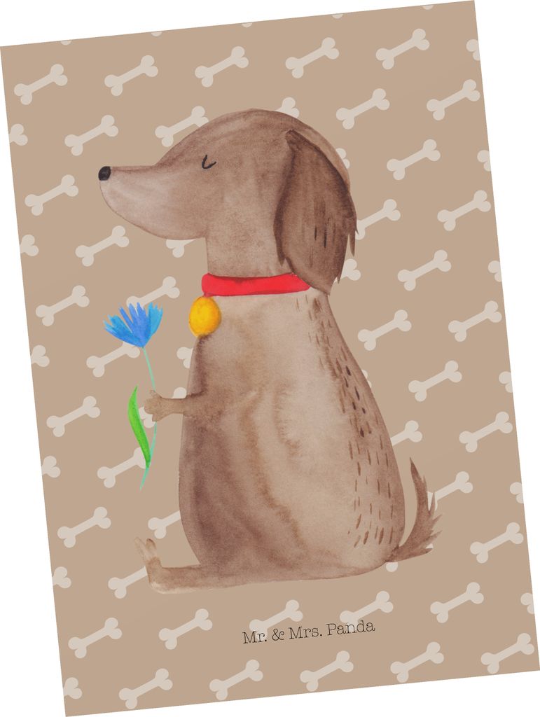 Mr. & Mrs. Panda Postkarte Hund Blume - Hundeglück - Geschenk, Ansichtskarte, Postkarten, Fotokarte, Grußkarte, Sprüche, Hunde, Halsband, bildka...