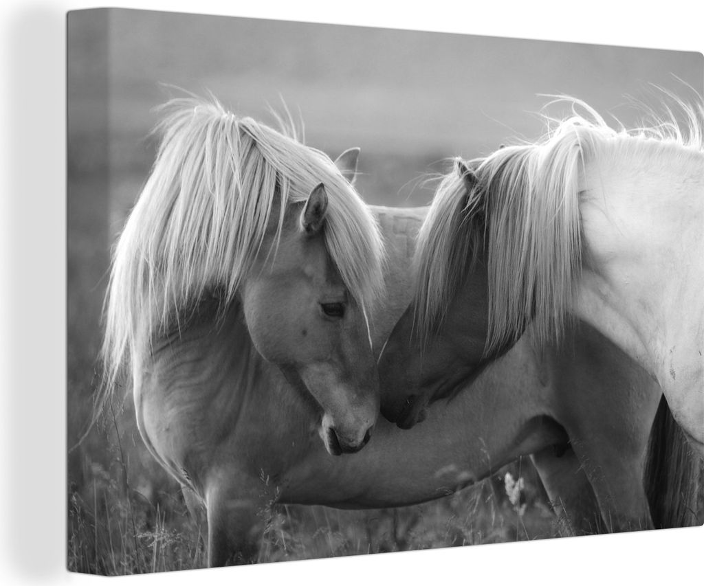 OneMillionCanvasses - Leinwandbilder - 140x90 cm, Zwei verliebte Pferde - schwarz und weiß, Wandbilder Kunstdruck Wanddekoration