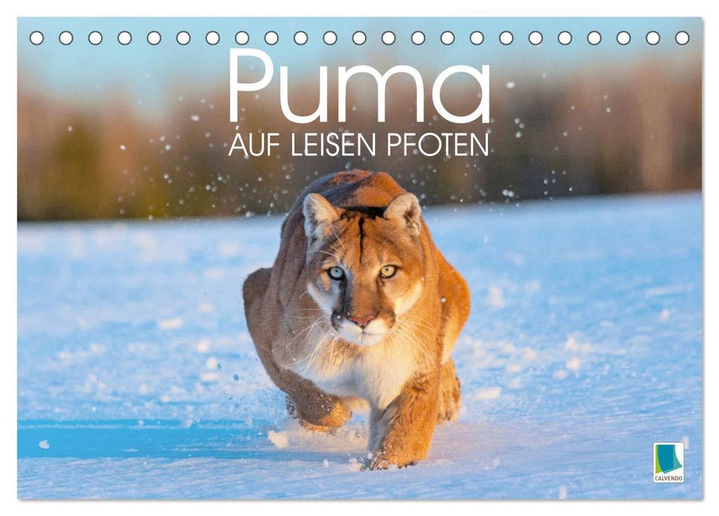 Puma: Auf leisen Pfoten (Tischkalender 2027 DIN A5 quer), CALVENDO Monatskalender