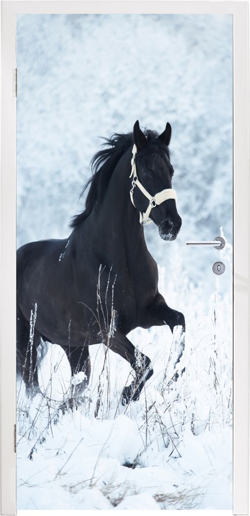 MuchoWow Türtapete Selbstklebende Türfolie Pferd - Schnee - Winter 95x235 cm Türposter Türaufkleber Klebefolie Türklebefolie - XXL-Poster - ...