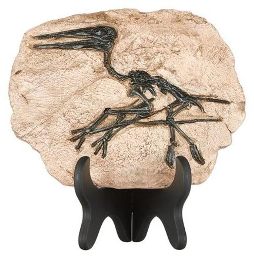 Resin Dinoskelett Fossil Dekoration schwarz für Zuhause und Büro
