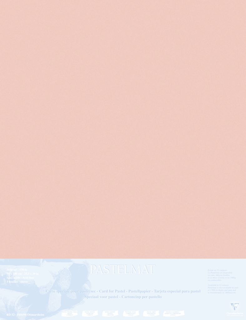 Clairefontaine Papier für Pastellmalerei, 5 Bogen 70x100cm Siena 396012C