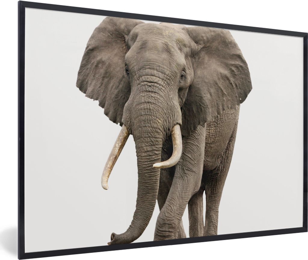MuchoWow Gerahmtes Poster Elefant - Kinder - Tiere - Mädchen 30x20 cm - Poster mit Schwarzem Bilderrahmen Wandposter Rahmen Foto Bilder - Kunstd...