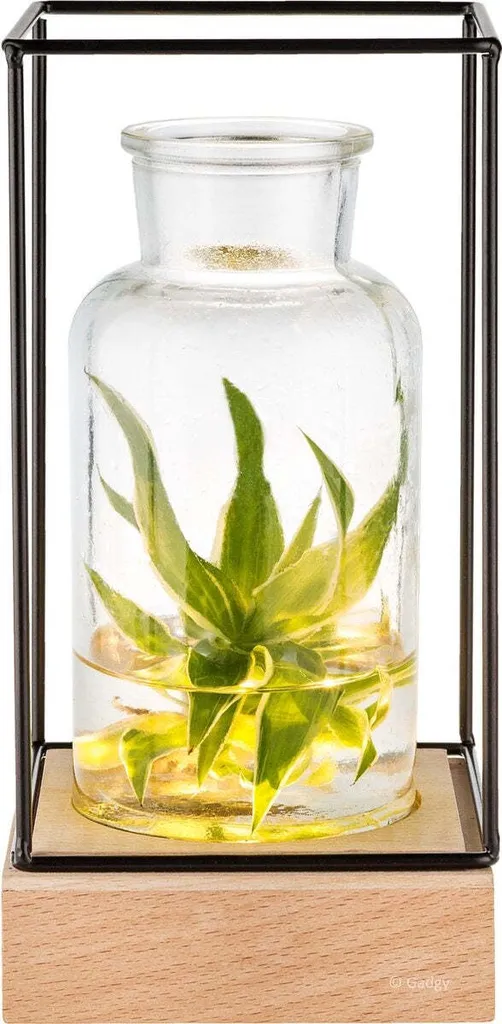 Vase en verre LED Ø 11 cm Gadgy - Culture hydroponique et piles inclus