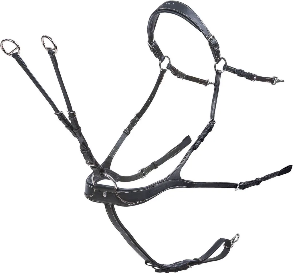 Collier de chasse CSO BUSSE Take-Off Line AP noir pour selle de cheval
