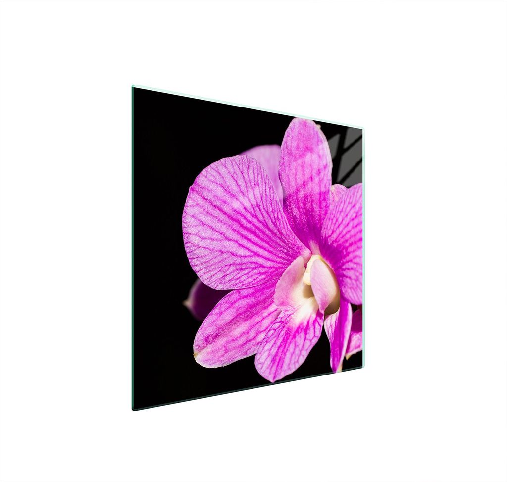 Glasschutzplatte Für Herd 50X52 Orchidee