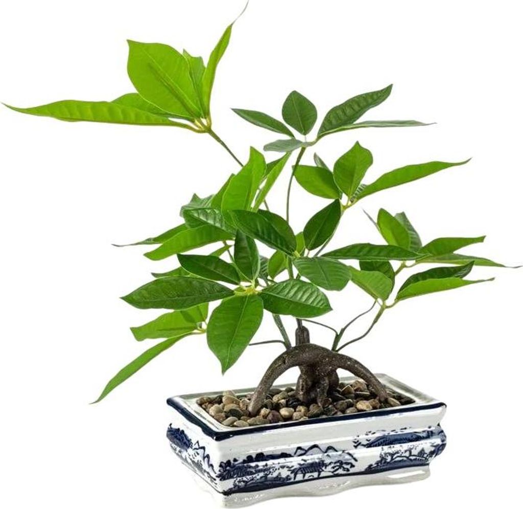 Emerald Künstlicher Bonsai - Damian | 38 cm, für drinnen, Kunstbaum, wie echt, Allergiker geeignet, pflanzliche Dekoration Praxis, Office & Wohnz...