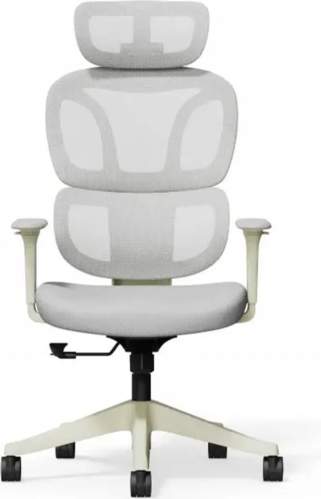 Fauteuil de bureau ergonomique BS5 gris - Siège de travail de qualité