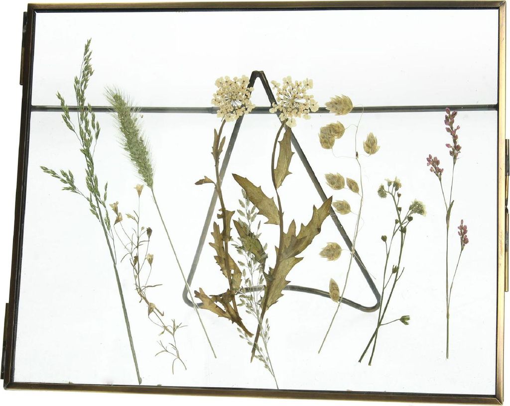 Lijst gedroogde bloem Messing Bronze 20,5x2x15,2 cm Kesten HD Collection