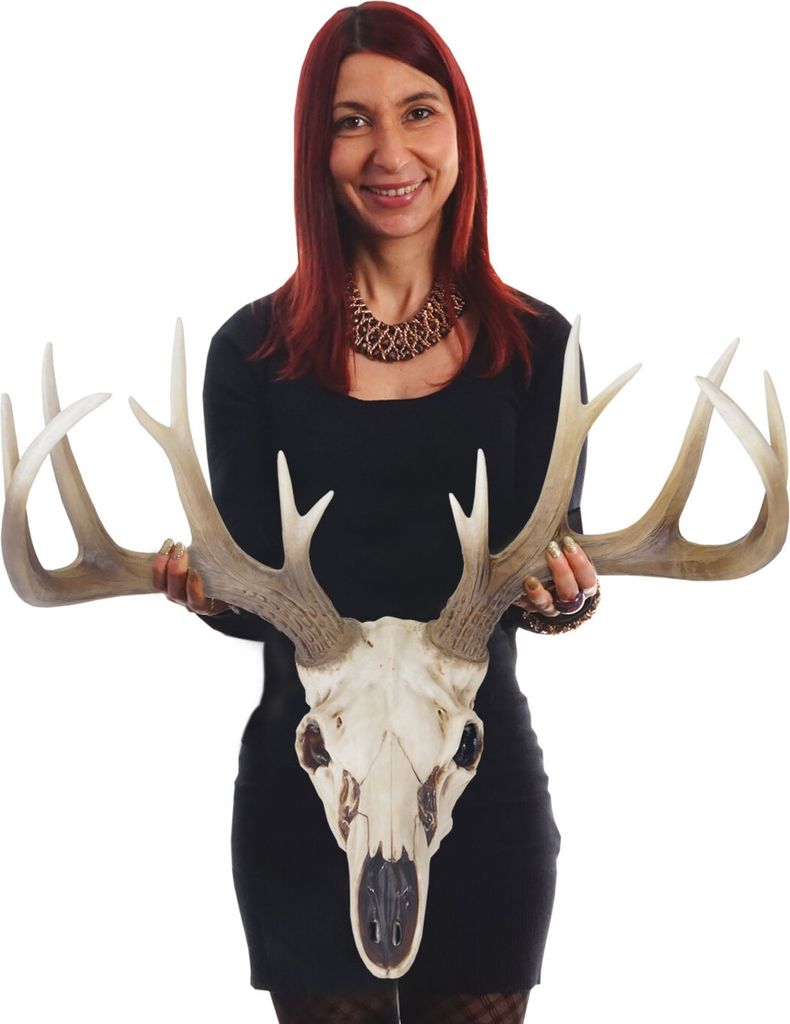 Deko Skull 58cm, Polyresin Hirschgeweih Kopf Trophäe, Produktbild 
