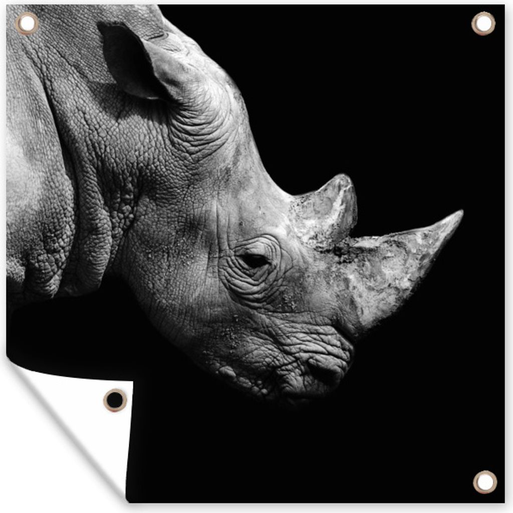 MuchoWow 50x50 cm Outdoor-Poster Gartendeko Sichtschutz Garten Poster für den Garten Portrait Nashorn auf schwarzem Hintergrund
