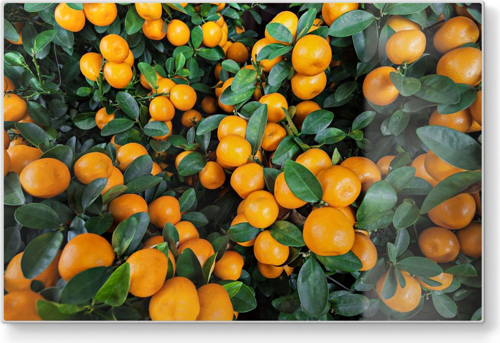 DEQORI Schneidebrett Glas 30x20 cm 'Mandarinenbaum nah' Schneideplatte groß