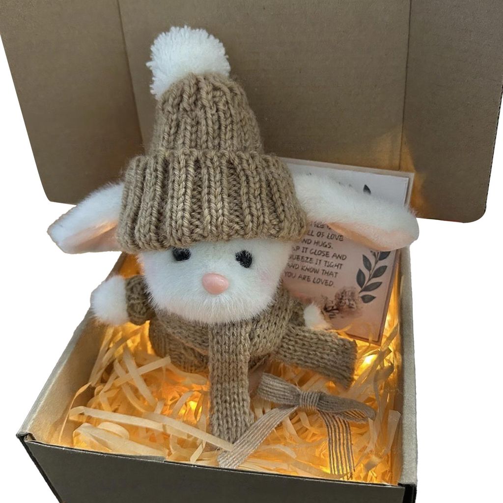 Handgefertigtes Mini-Hase-Ostergeschenk mit Karte, Plüschhasenfigur in einer Box, niedlicher Taschenhase, Geschenk zur emotionalen Unterstützung ...