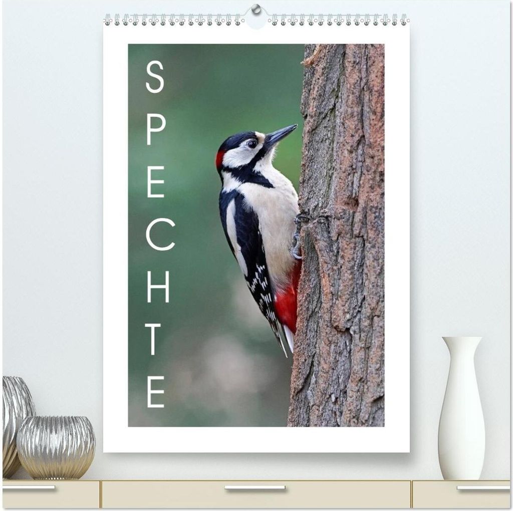 Spechte (hochwertiger Premium Wandkalender 2026 DIN A2 hoch), Kunstdruck in Hochglanz
