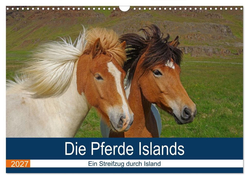 Die Pferde Islands - Ein Streifzug durch Island (Wandkalender 2027 DIN A3 quer), CALVENDO Monatskalender