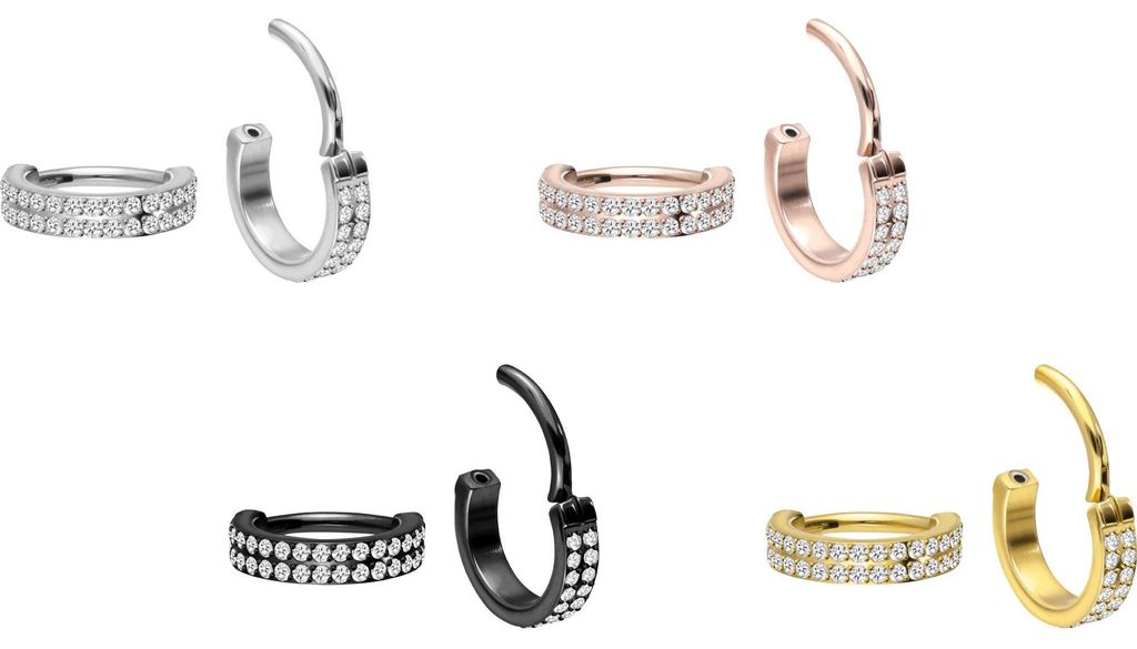 Ohrpiercing, Nasenpiercing, Septum Piercing Titan Segmentring Clicker ZWEI EINGEFASSTE KRISTALLREIHEN Silber Innendurchmesser: 8 mm