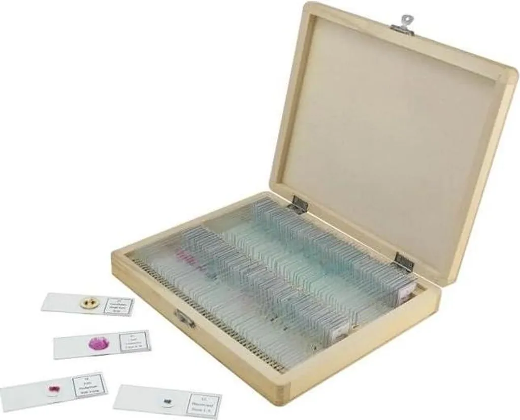 Celestron CM44412-DS Lames de Microscope en Verre Transparent 76x25 mm