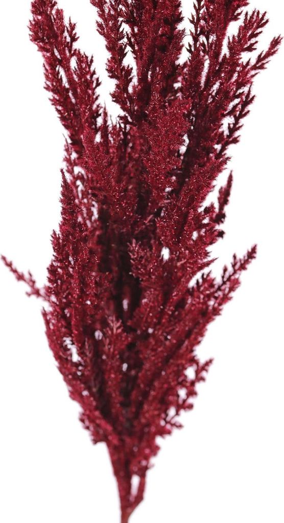 artplants.de Kunstzweig Pampasgras Rispe THEMBA, Burgunderrot, 115cm - Künstliches Pampasgras