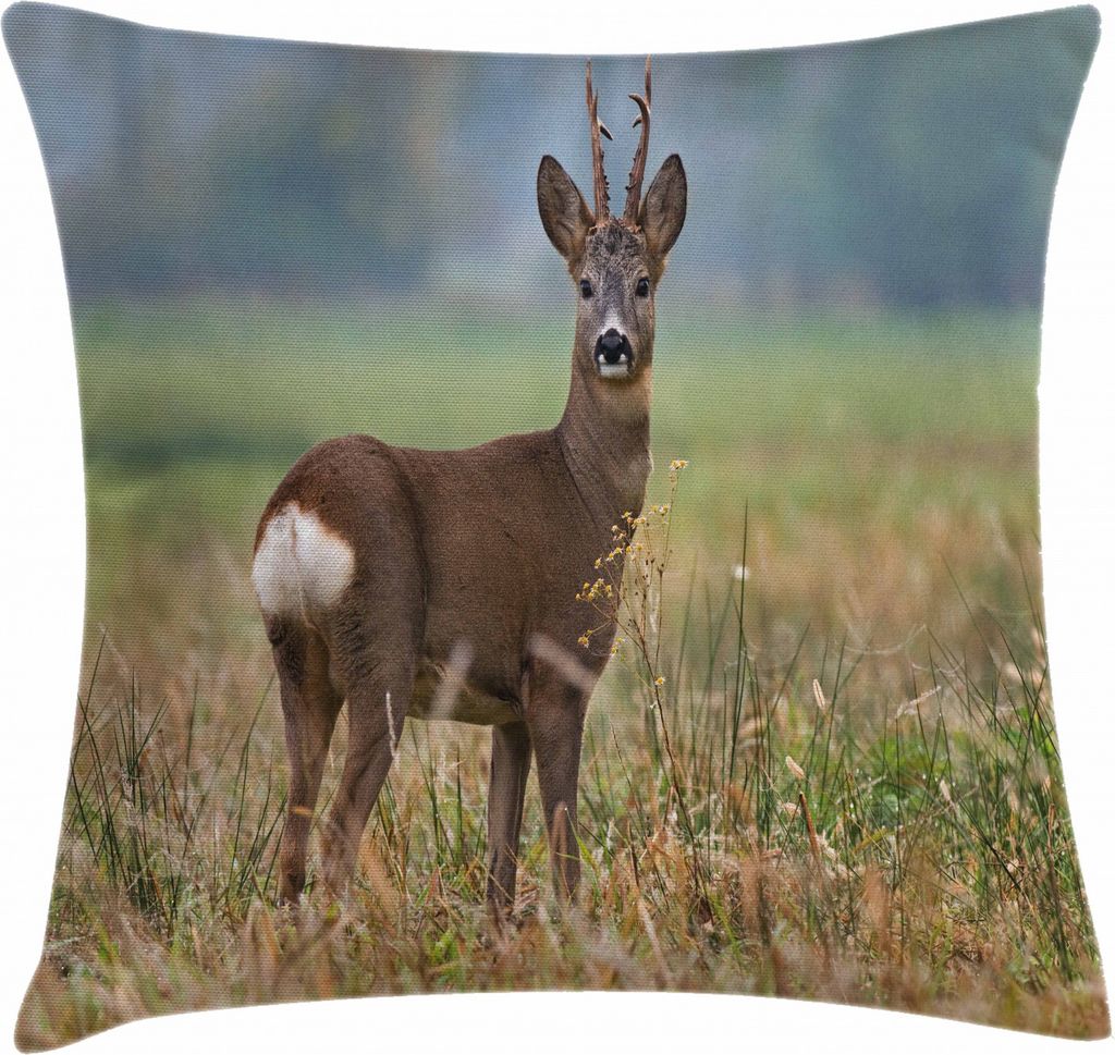 ABAKUHAUS Jagd Kissenbezug, Deer Wildlife, Dekorative Kopfkissenhülle mit Beidseitigem Druck Reißverschluß Waschbar, 50 x 50 cm, Mehrfarbig