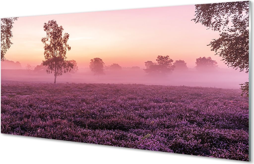 Glasbilder 100x50 Wandkunst Feld heathers