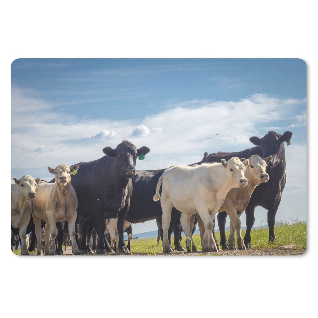 MuchoWow Mauspad Mousepad Tiere - Kuh - Luft 27x18 cm - Mousepads - Maus Mat - Pad - Mausunterlage - Büroartikel - Desk Matten
