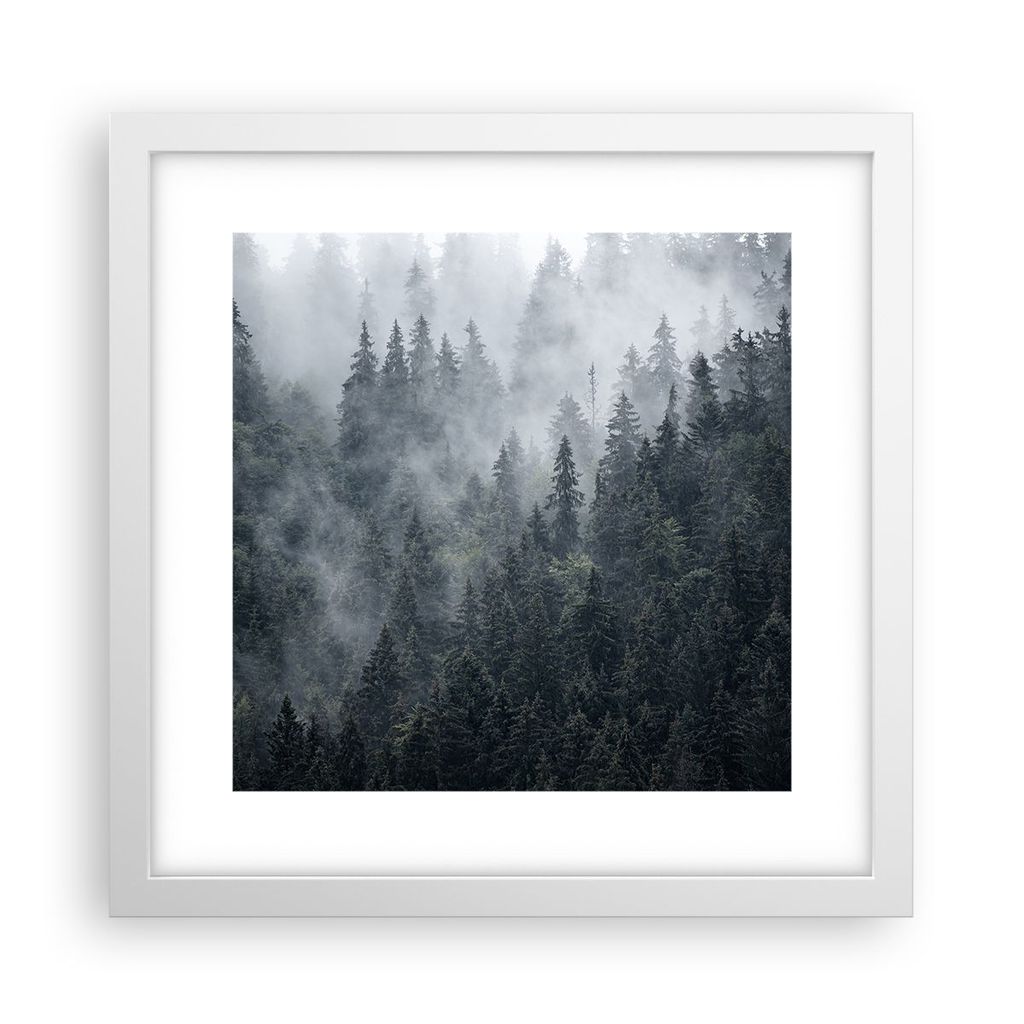 Gerahmtes Poster - Weißer Rahmen - Wald Baum Natur - 30x30 cm - Wand Bild - Wanddeko - Wandbilder - Kunstposter - Wandposter - Bilderrahmen - Bild...
