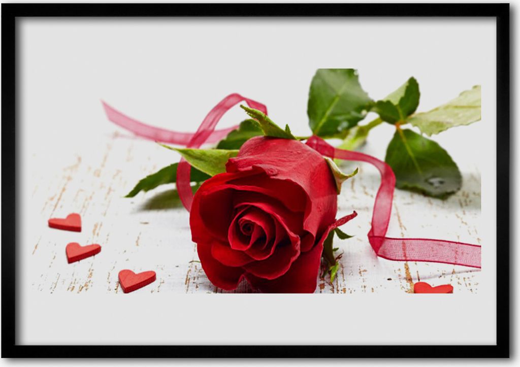 Bild 100x70 MDF-Rahmen Wandkunst Rose Blume Pflanze Natur