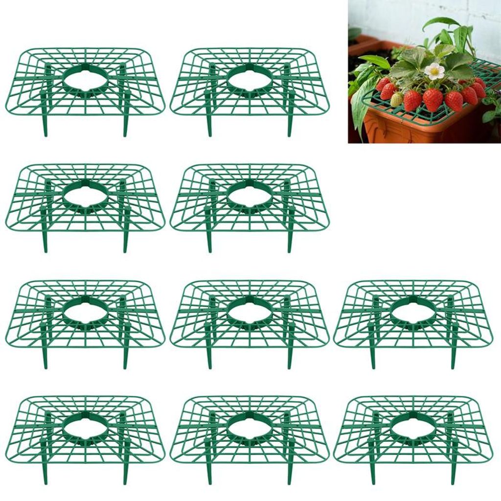 Erdbeerstützen quadratisch 10er Set – Verstellbare Erdbeergitter Kunststoff | Fruchtreifer Pflanzenschutz für Garten Hochbeet Gewächshaus