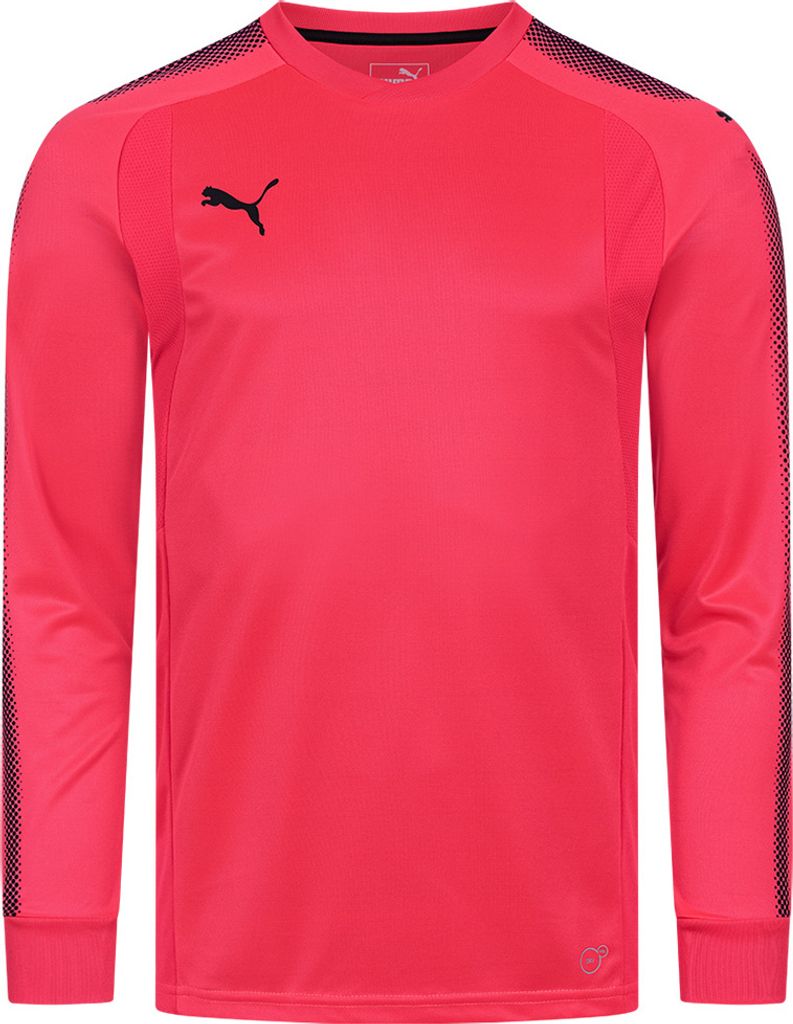 XL|PUMA dryCELL Herren Torwarttrikot 703067-47
