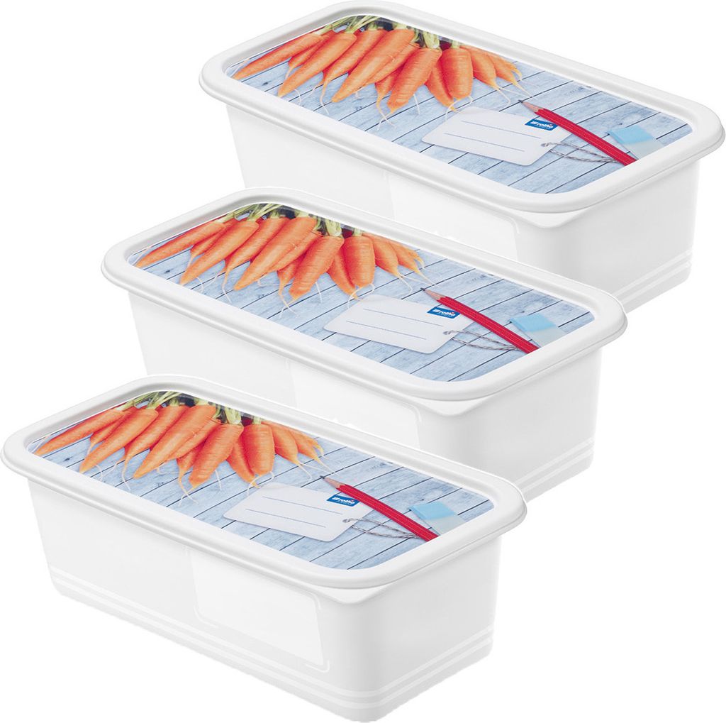 3er Set Gefrierdosen 1,2 l DOMINO, Farbe:Motiv