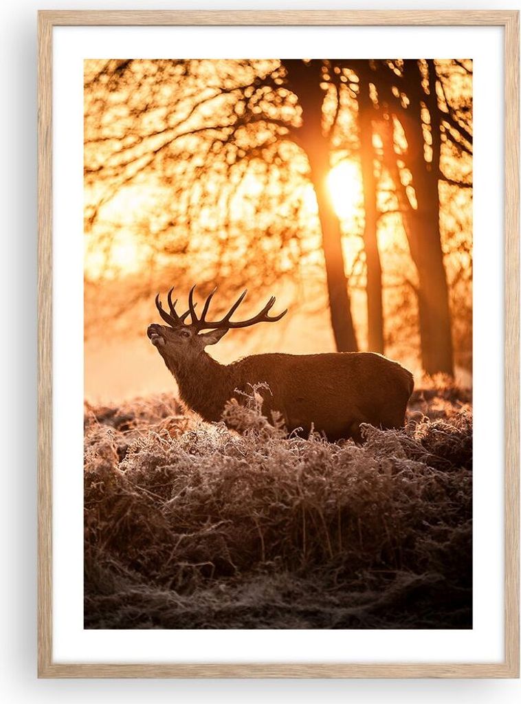 Gerahmtes Poster - Rahmen in heller Eiche - Deer Heidekraut Tier - 50x70 cm - Wand Bild - Wanddeko - Wandbilder - Wandposter - Bilderrahmen - Bilde...