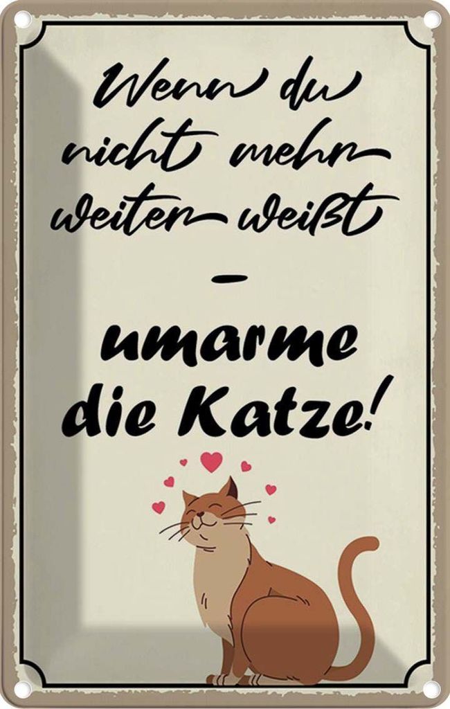 vianmo Blechschild 18x12 cm nicht weiter umarme die Katze Tier Haustier