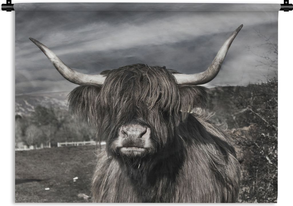 MuchoWow Wandteppich Wandbehang Schottischer Highlander - Tiere - Hörner 150x112.50 cm Tapisserie Dekoration Wandtuch - Wanddecke - Wandteppiche
