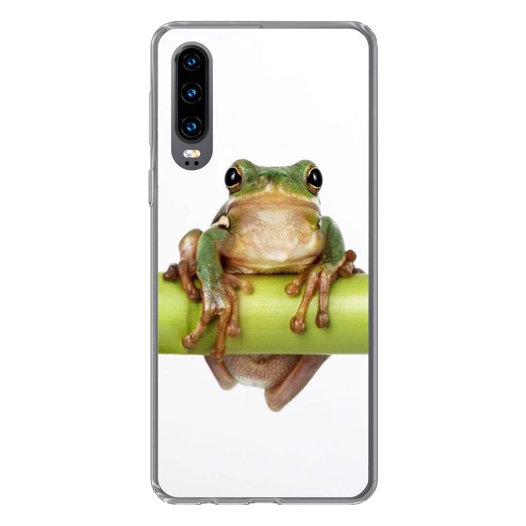 MuchoWow Handyhülle Schutzhülle Hülle für Huawei P30 Frosch - Bambus - Weiß Silikon Softcase Handy Hülle - Kartenbesitzer