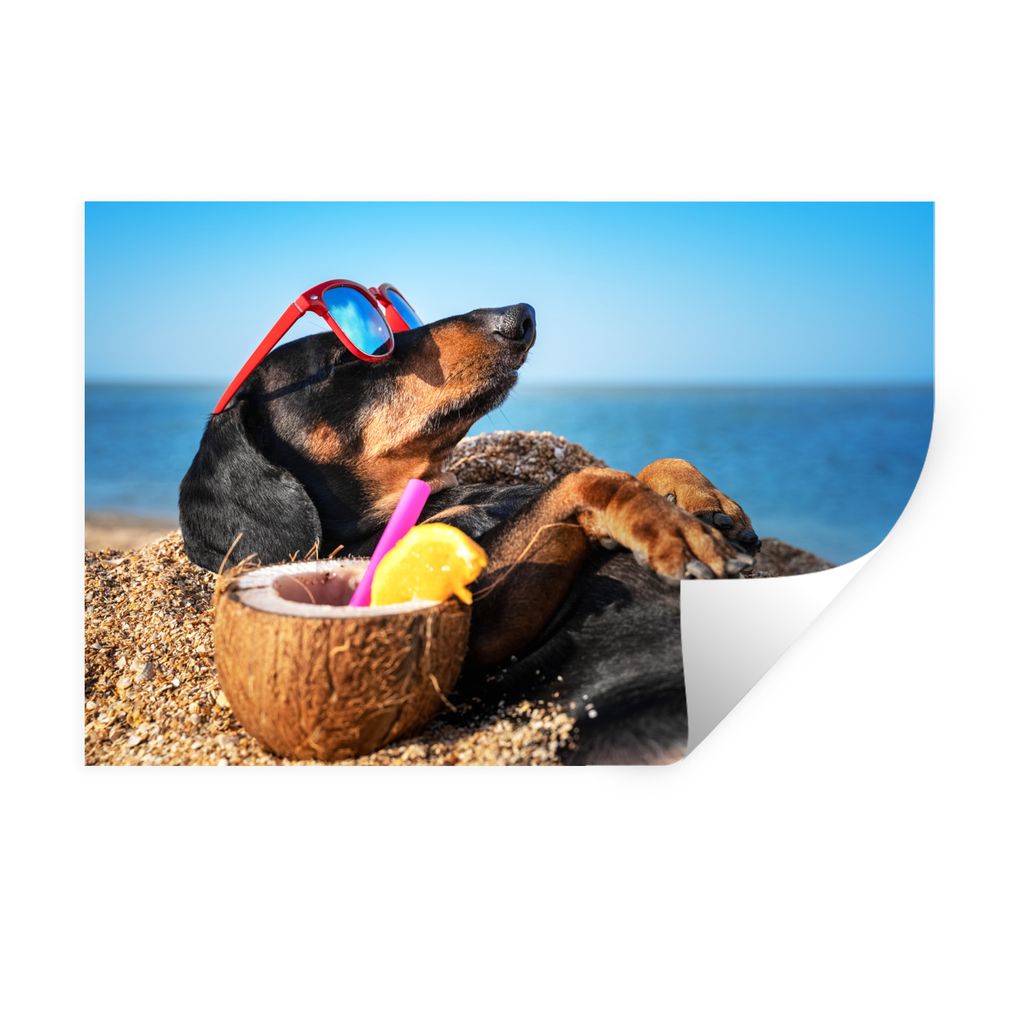 MuchoWow Wandtattoo Wandsticker Wandaufkleber Hund - Sonnenbrille - Strand - Sommer 60x40 cm Selbstklebend und Repositionierbar - Wierderverwendb...