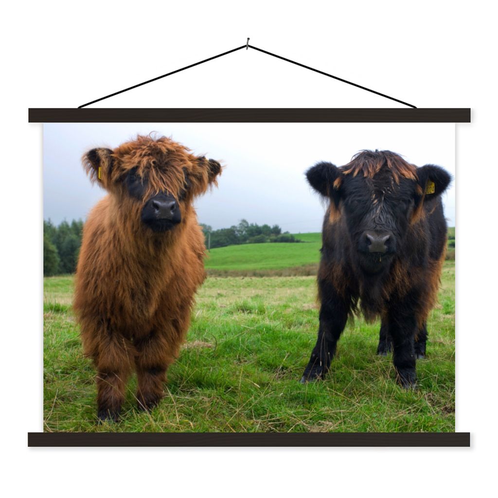MuchoWow Textilposter Schottische Highlander - Kühe - Natur - Grün - Gras 150x113 cm mit holzfarbenen Rahmen - Poster