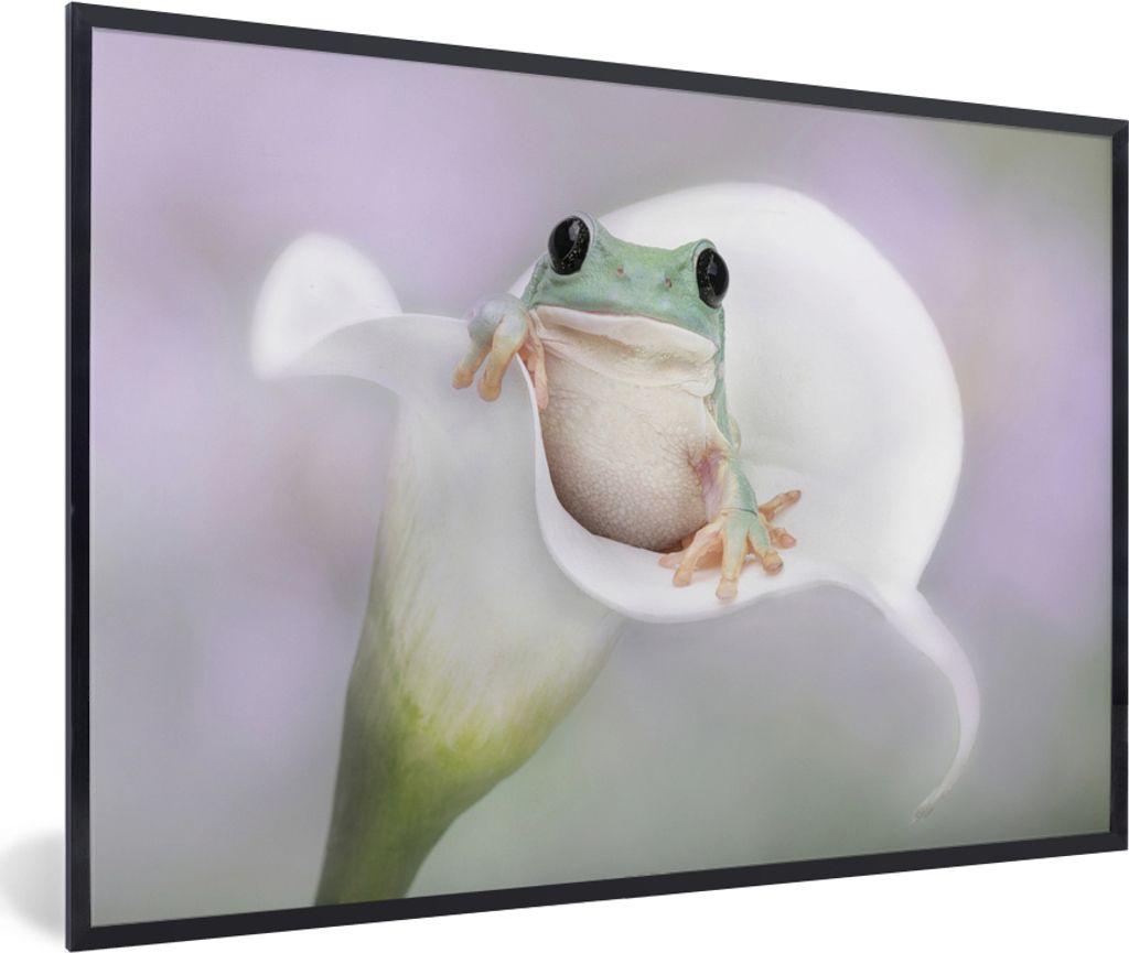 MuchoWow MuchoWow Gerahmtes Poster Lilie - Frosch - Blume 90x60 cm - Poster mit zchwarzem Bilderrahmen - Fotorahmen - Foto-Plakat
