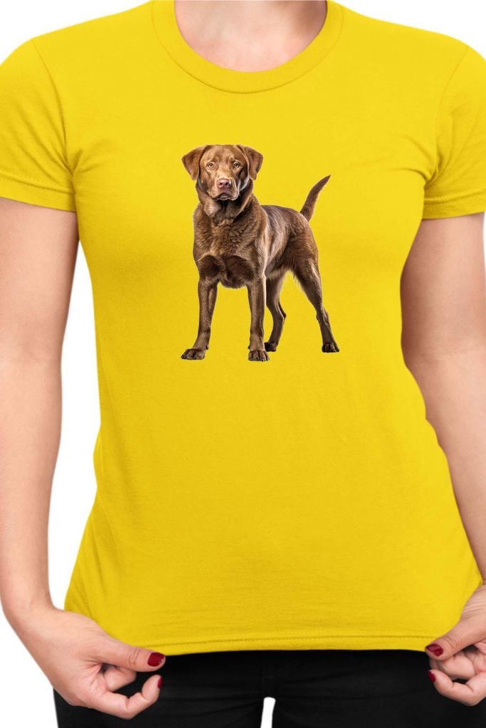 Damen T-Shirt Dogs Breeds Chesapeake Bay Retriever Dog Breed 006, Lady 2XL / Gelb